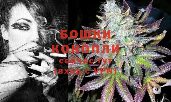 apvp Богданович