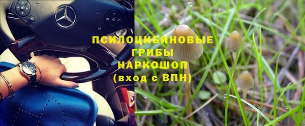 apvp Богданович