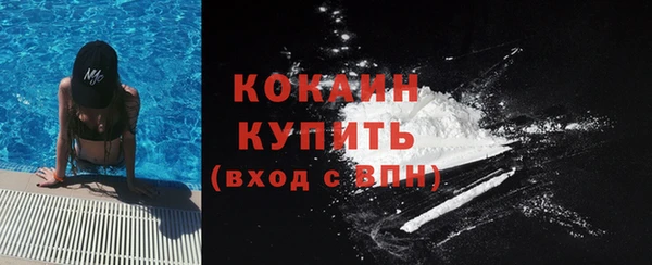 apvp Богданович