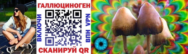 наркотики  hydra ссылки  Галлюциногенные грибы Cubensis  Среднеуральск 